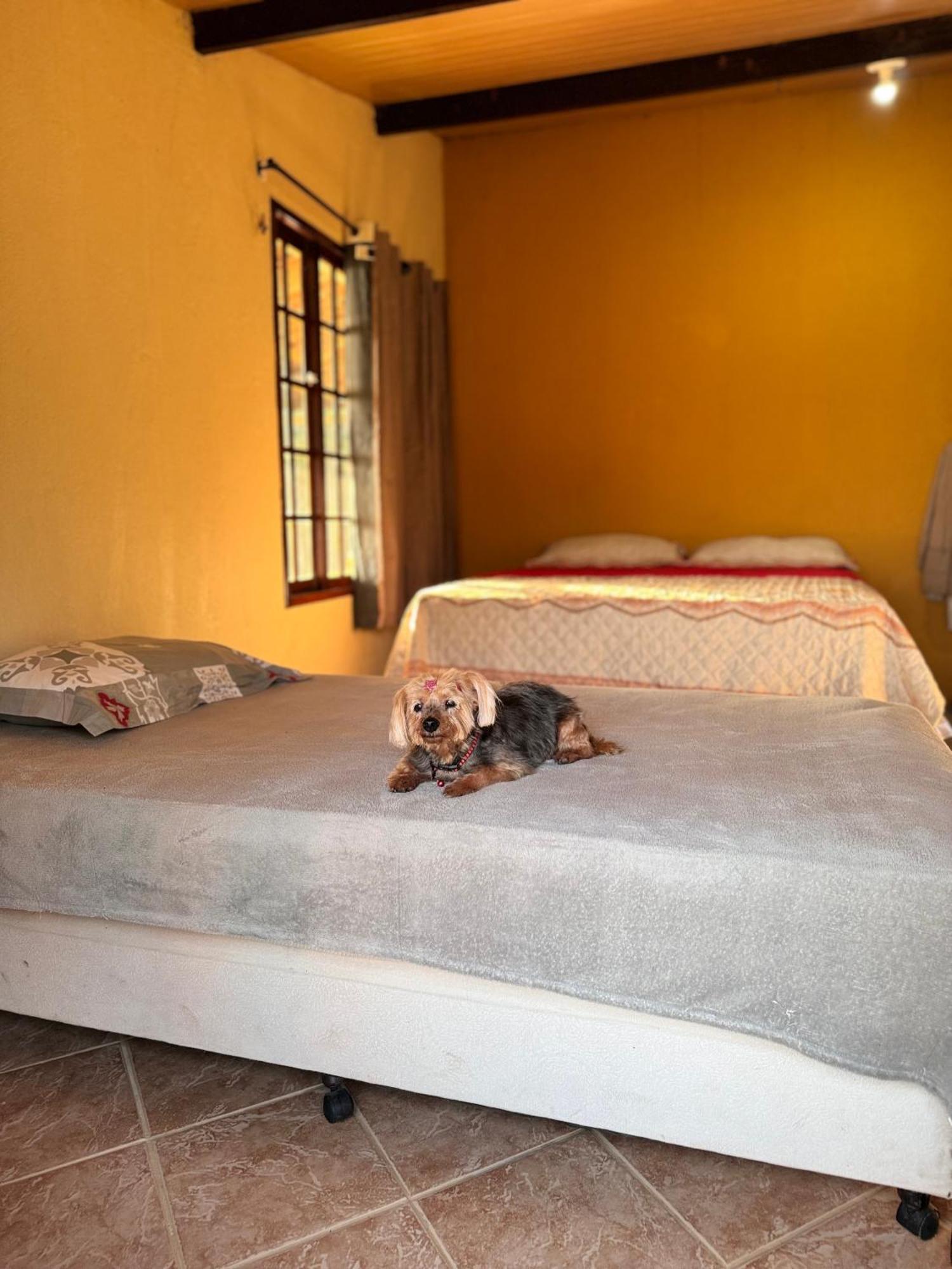 Chale Bella Vista Villa Guaramiranga Kültér fotó